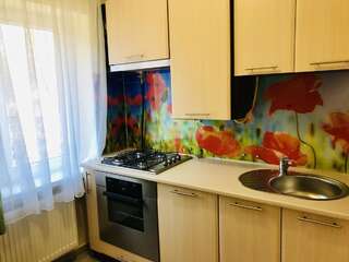 Апартаменты Сучасна квартира в центрі міста Ужгород Улучшенные апартаменты-18