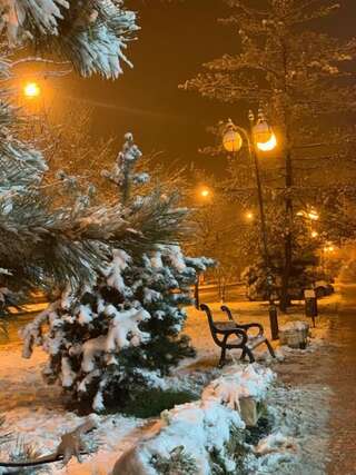 Апартаменты Сучасна квартира в центрі міста Ужгород Улучшенные апартаменты-34