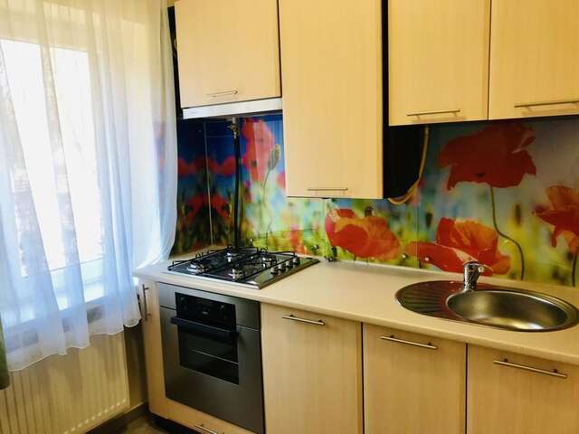 Апартаменты Сучасна квартира в центрі міста Ужгород-20